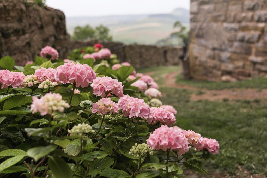 wedding photographer in Europe
