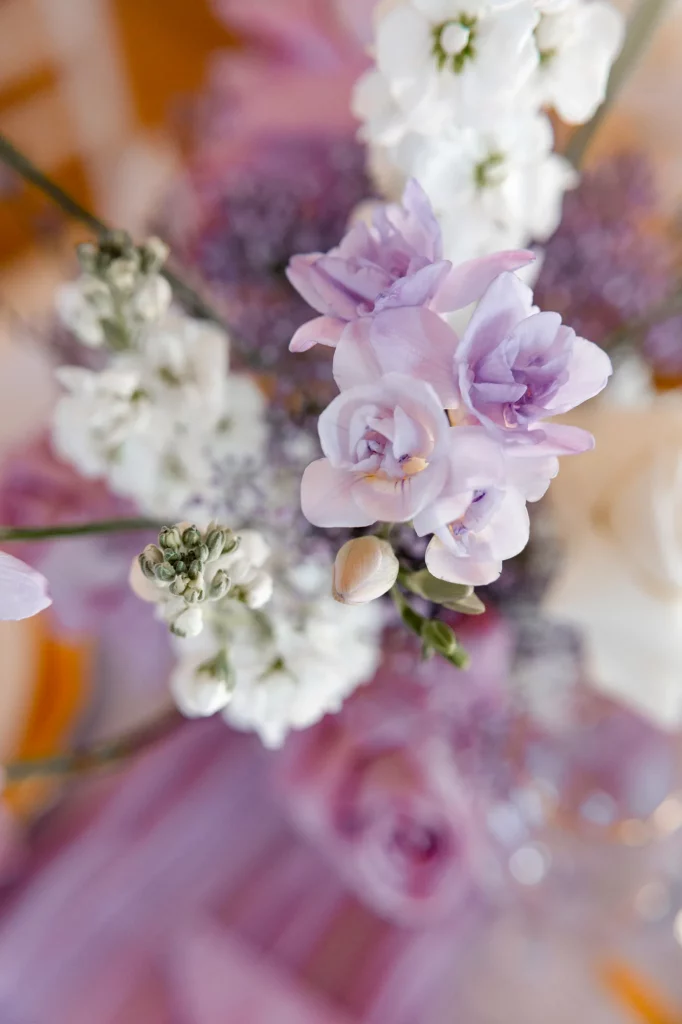 Nahaufnahme von lila und weißen Blüten